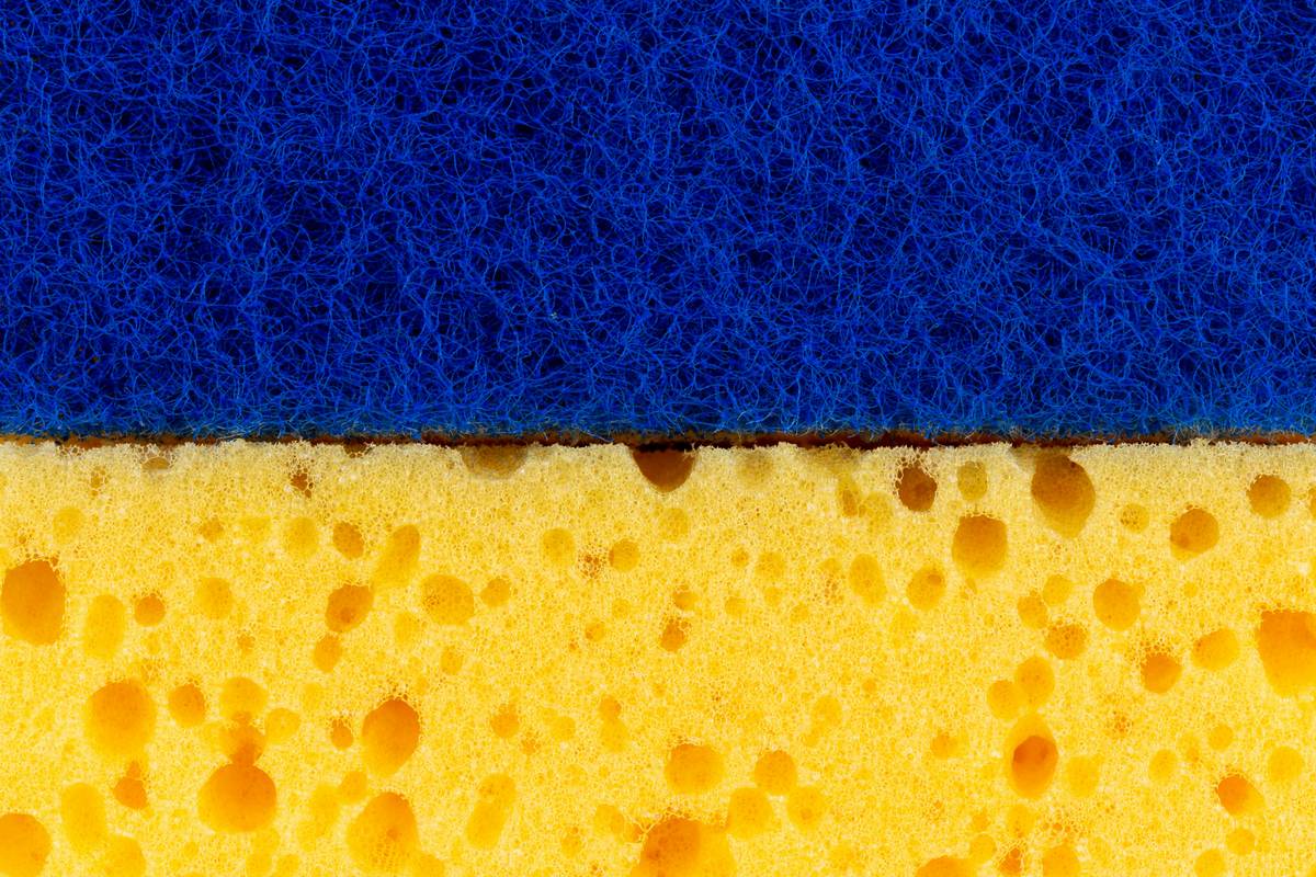 Infographic comparing bacterial load in natural loofahs vs. synthetic bath sponges after 2 weeks of typical home use