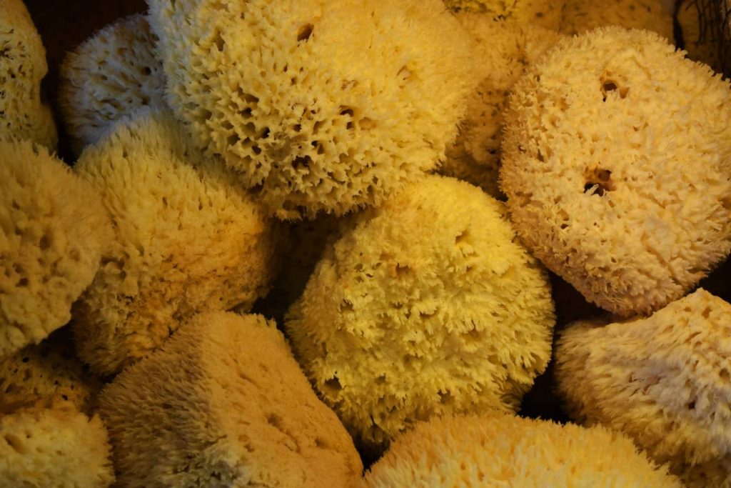 Loofah Luffa Bath: Your Secret Weapon for Smoother Skin (If You Use It Right)